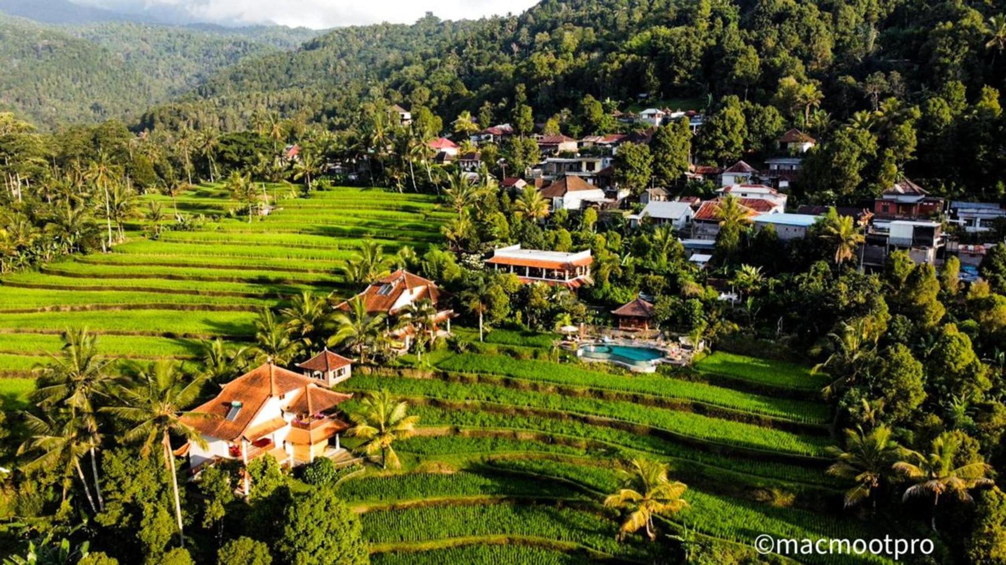 Lesong Hotel And Restaurant Munduk エクステリア 写真
