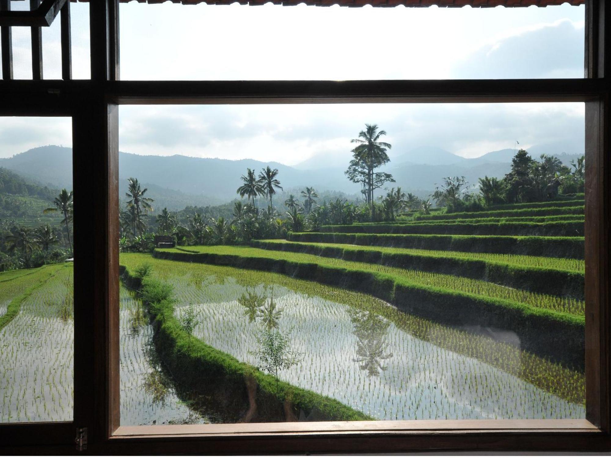 Lesong Hotel And Restaurant Munduk 部屋 写真