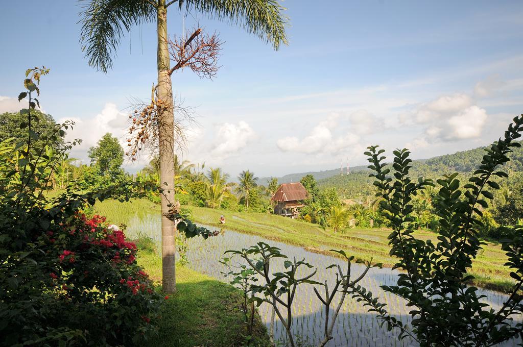 Lesong Hotel And Restaurant Munduk エクステリア 写真