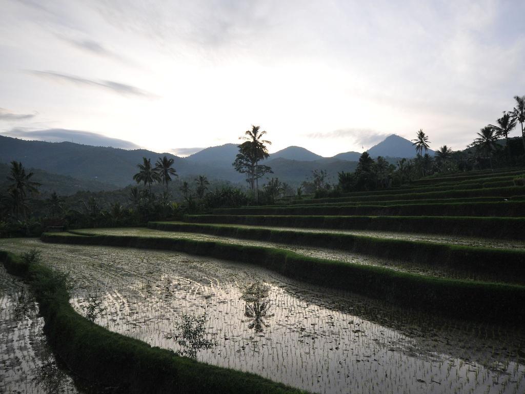 Lesong Hotel And Restaurant Munduk エクステリア 写真